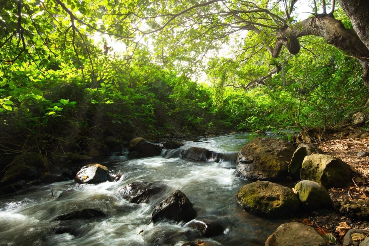 Rivertrees Country Inn Usa River Dış mekan fotoğraf